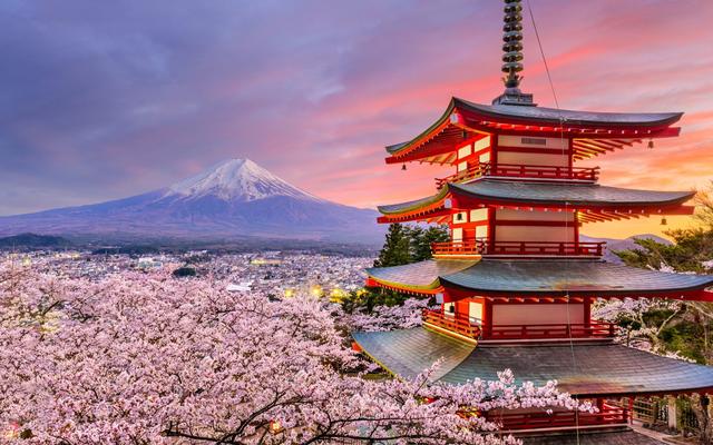 Japan 7 Night Tour Package from India — Tokyo Osaka Kyoto